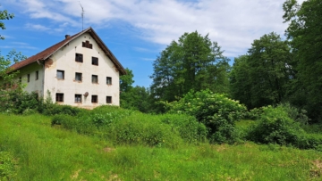 Sanierungsbedürftige Hofstelle in Schwarzach mit viel Grund arrondiert, 94374 Schwarzach, Bauernhaus