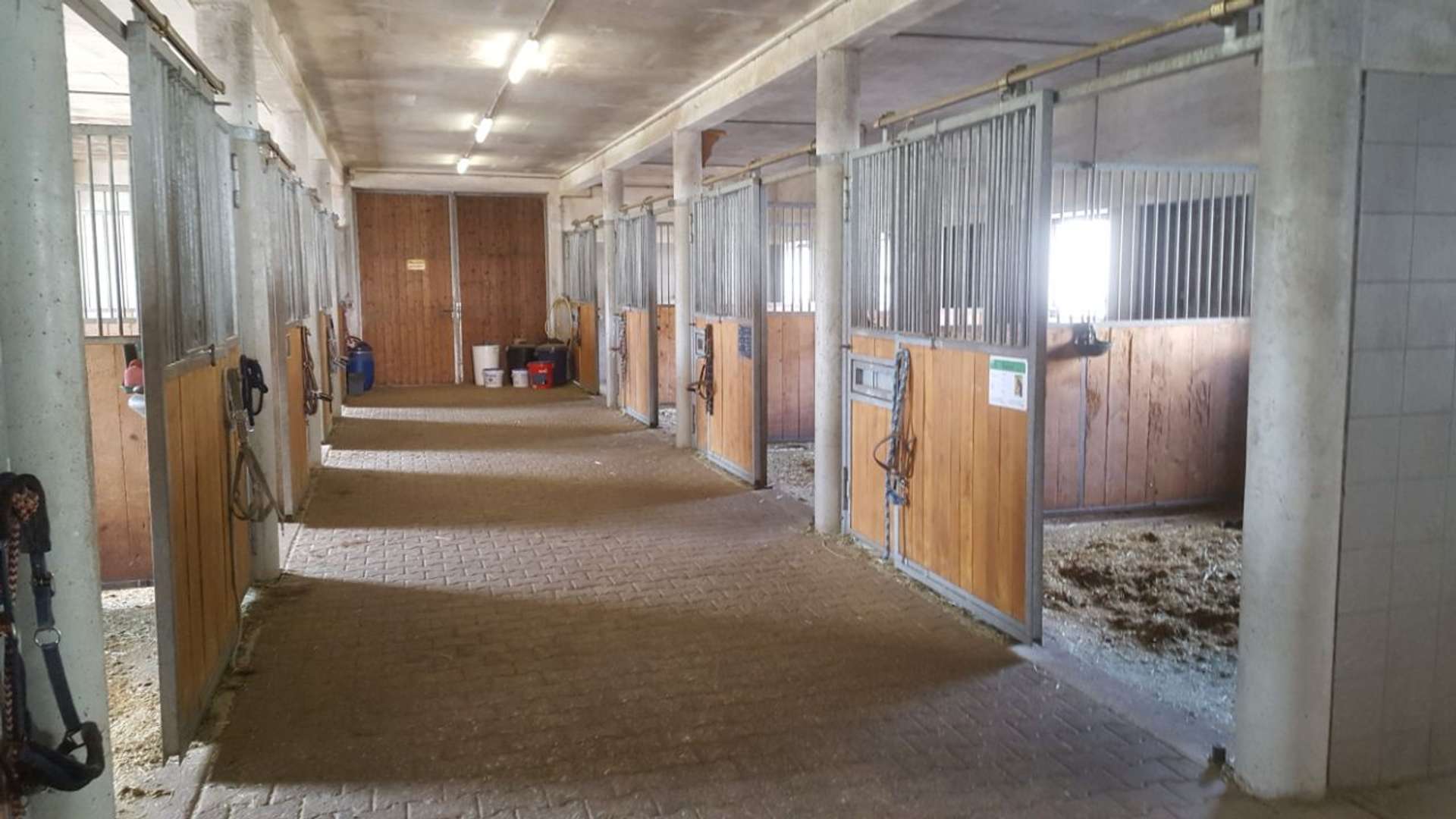 Innenansicht Stall