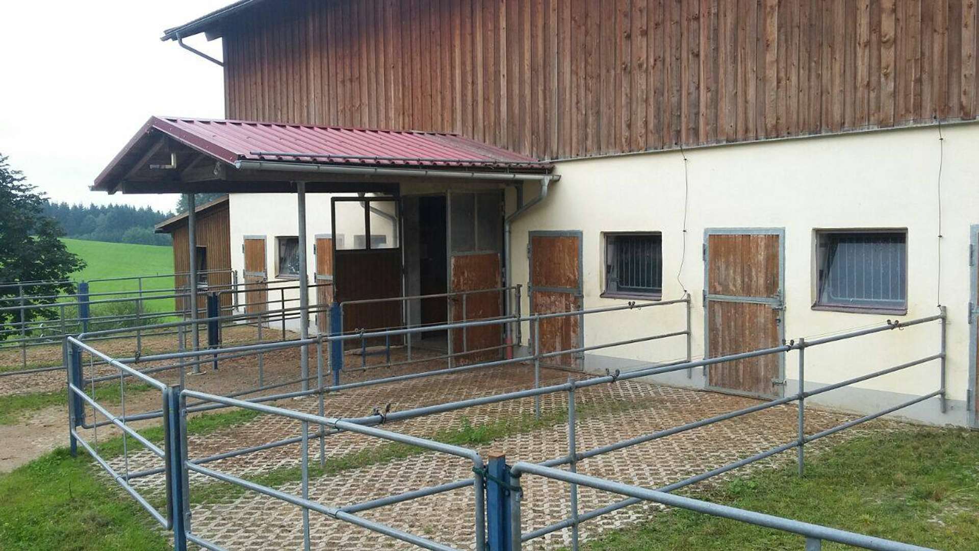 Stall mit Paddocks