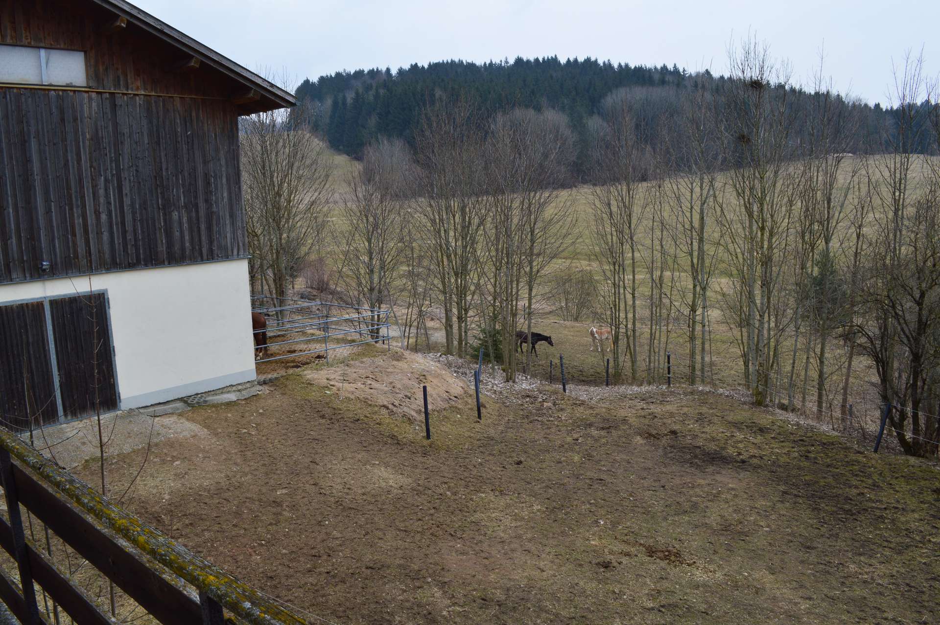 Blick auf Stall und Koppel