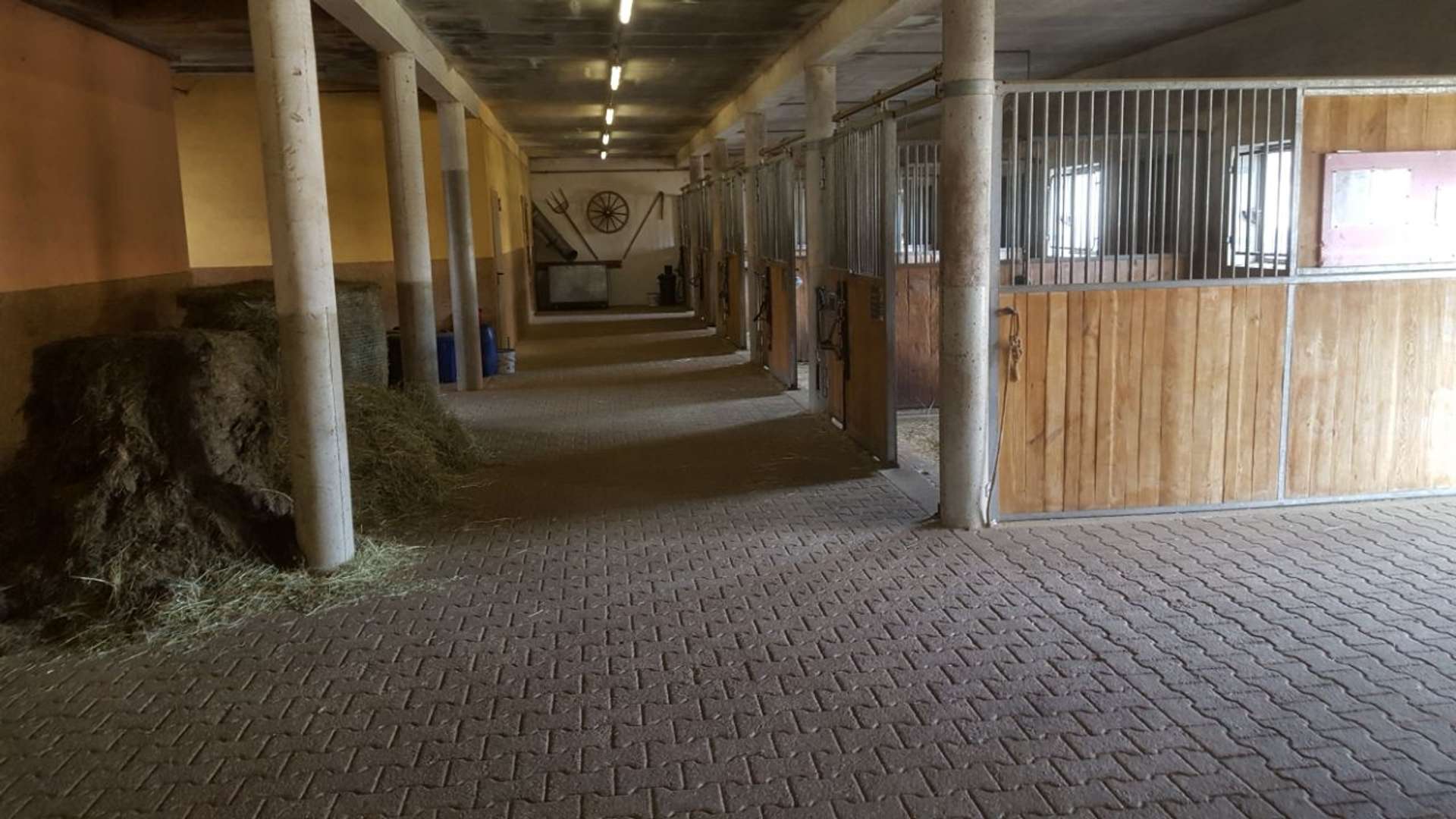 Innenansicht Stall