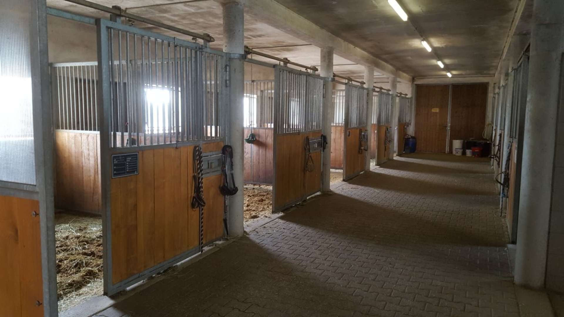 Innenansicht Stall