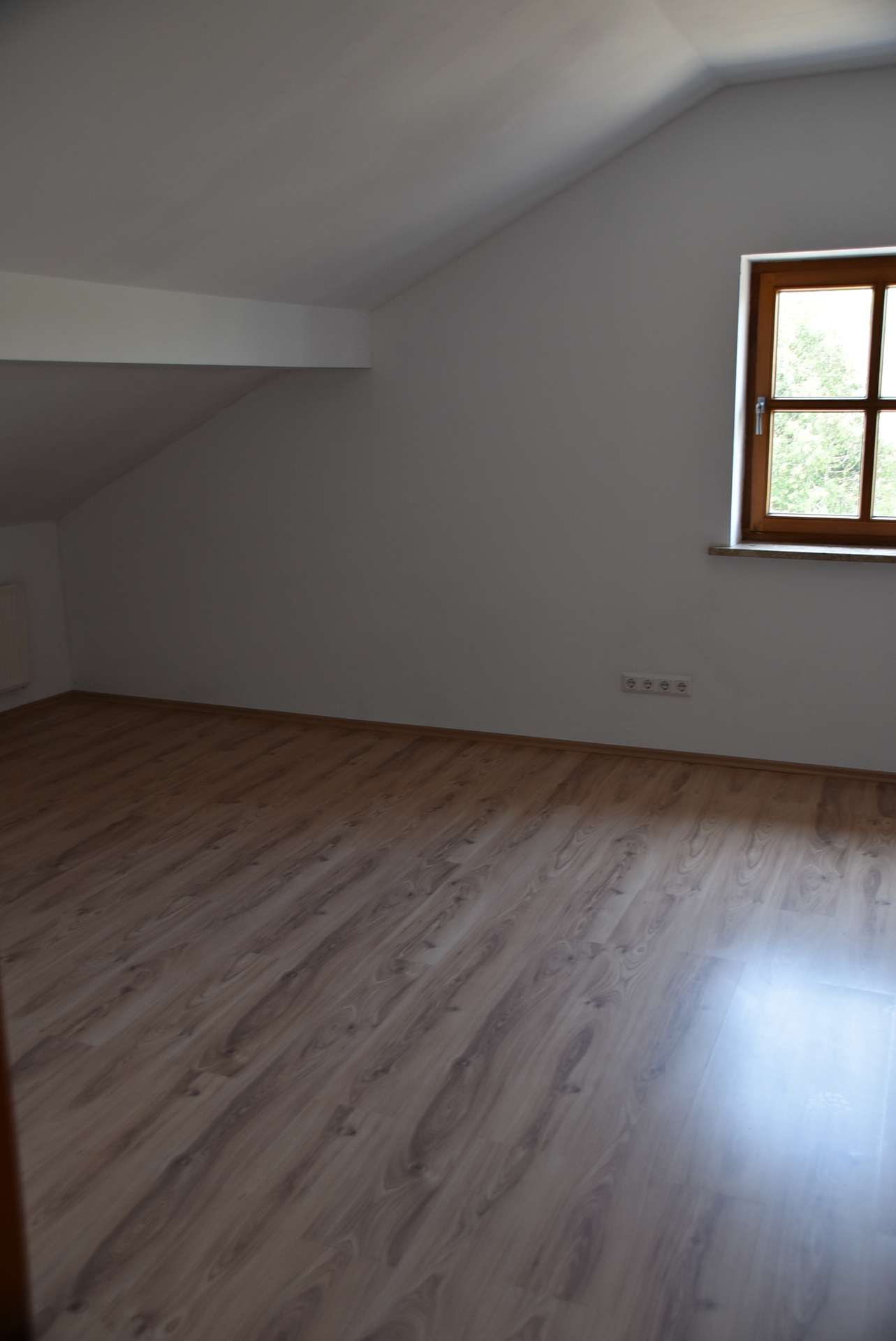 Zimmer DG