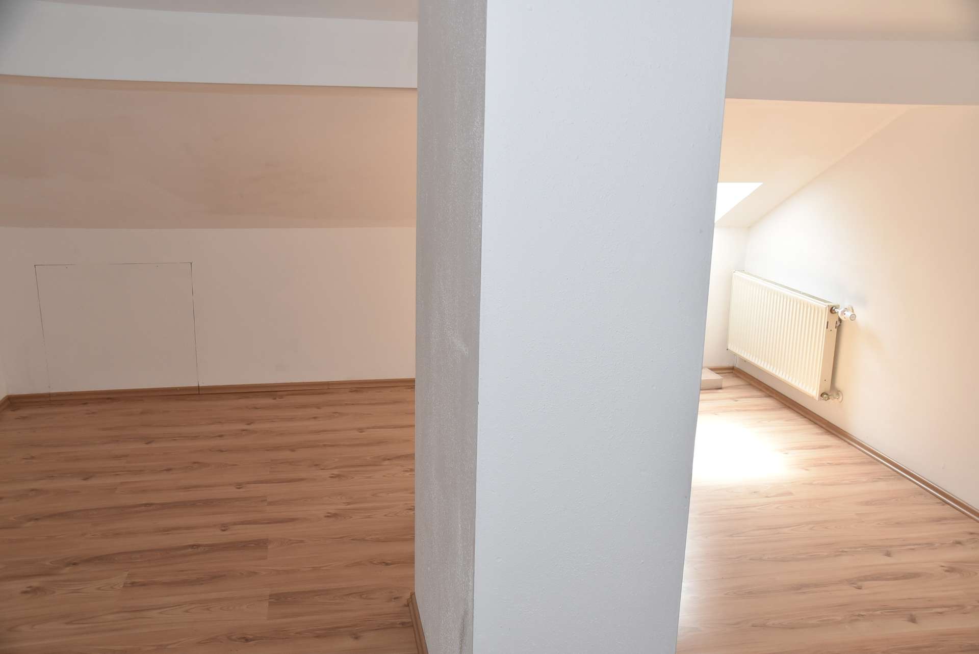 Zimmer DG