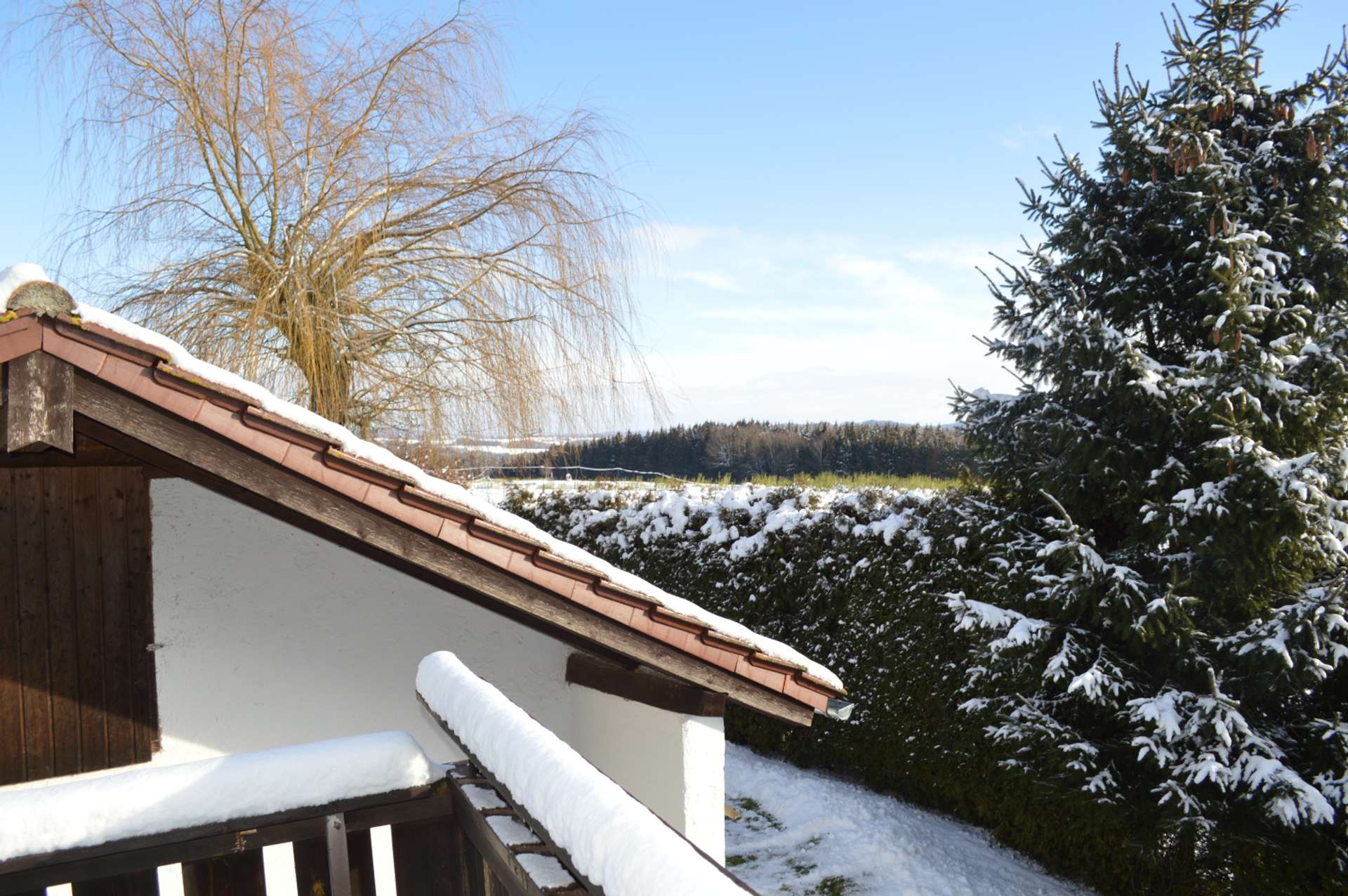 Ausblick