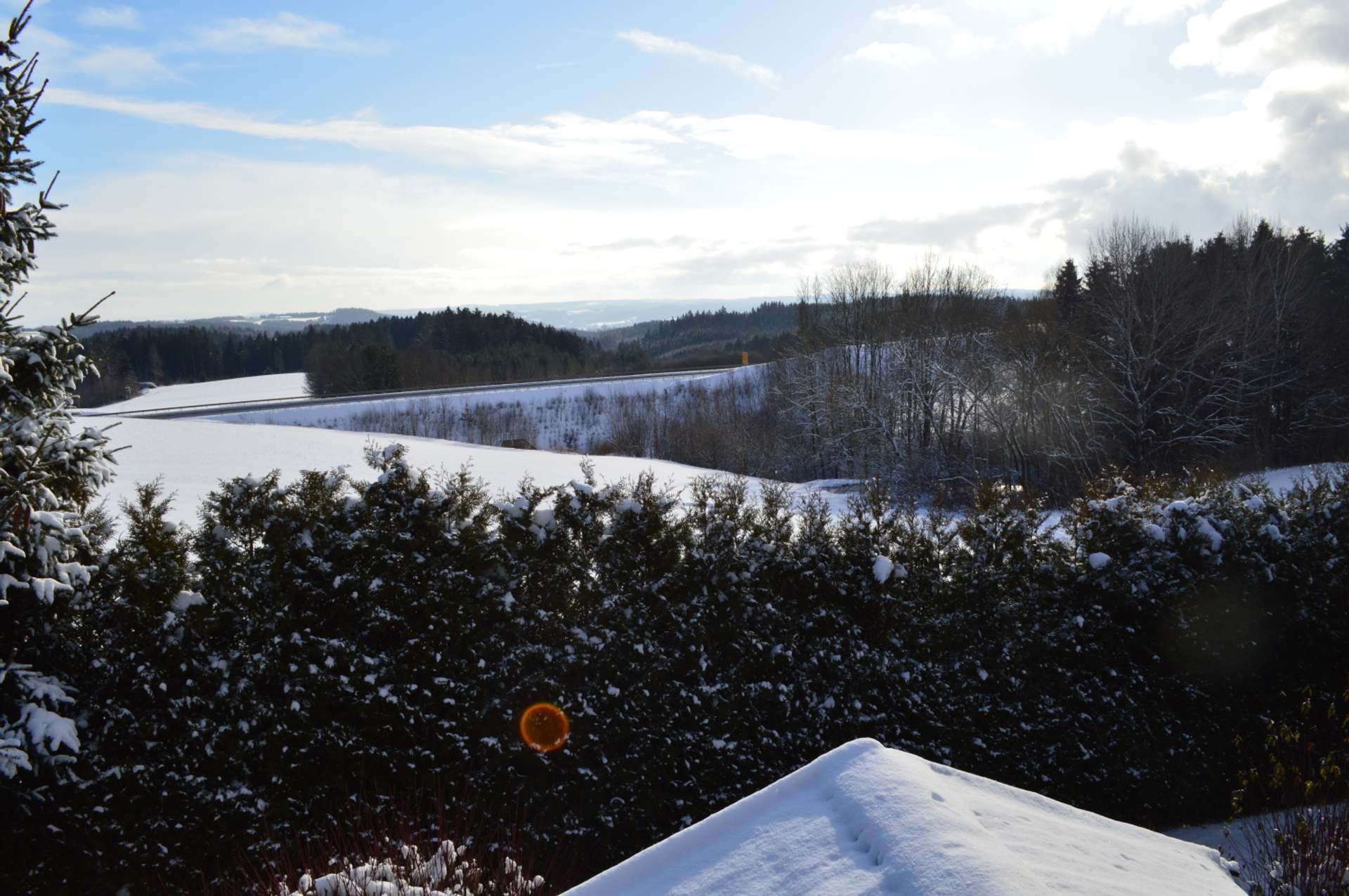 Ausblick