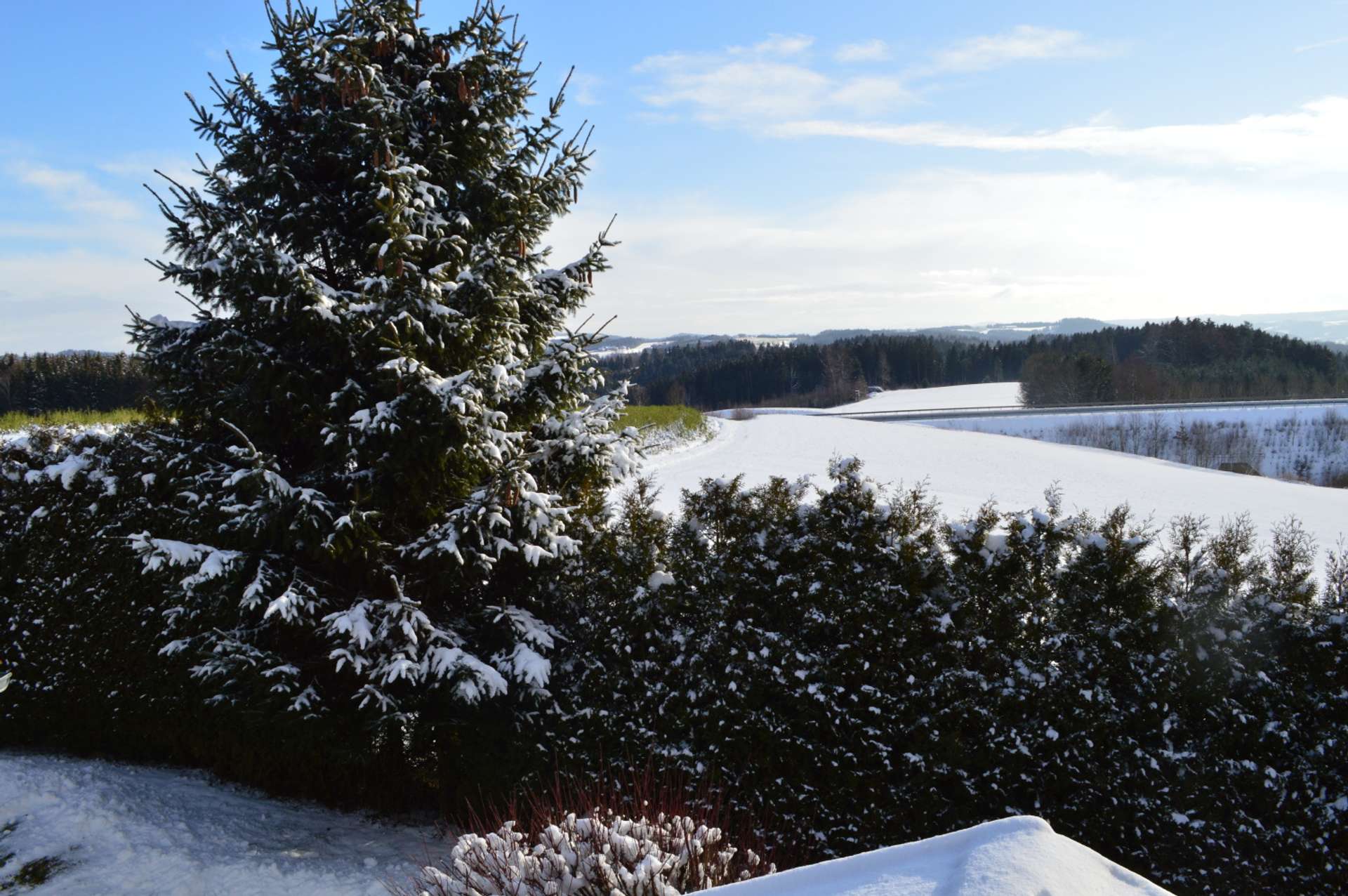 Ausblick