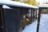 Hundezwinger/Nebengebäude - VERKAUFT!!! Solider Bungalow in ruhiger Ortsrandlage mit großem Grundstück
