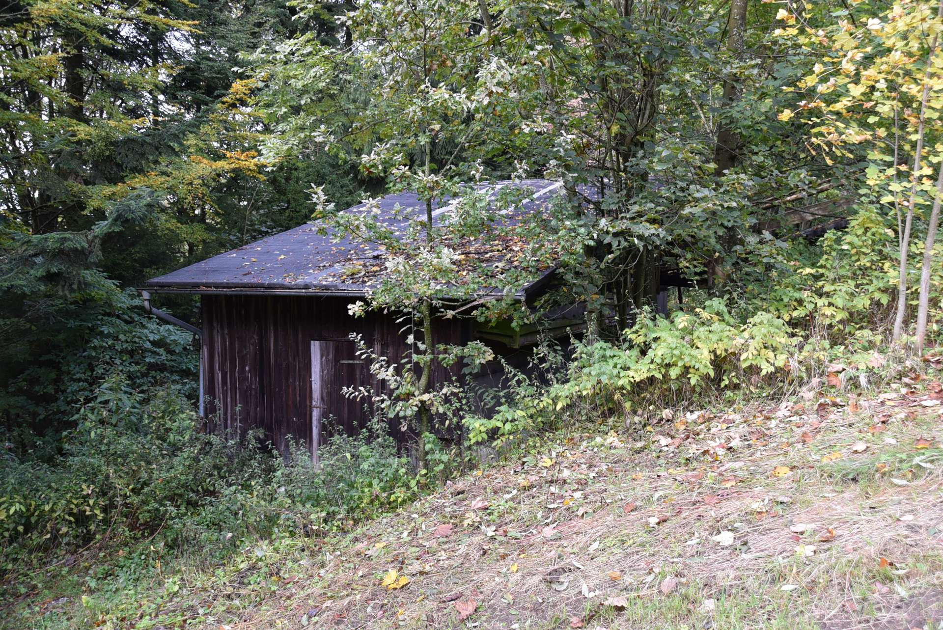 Stall
