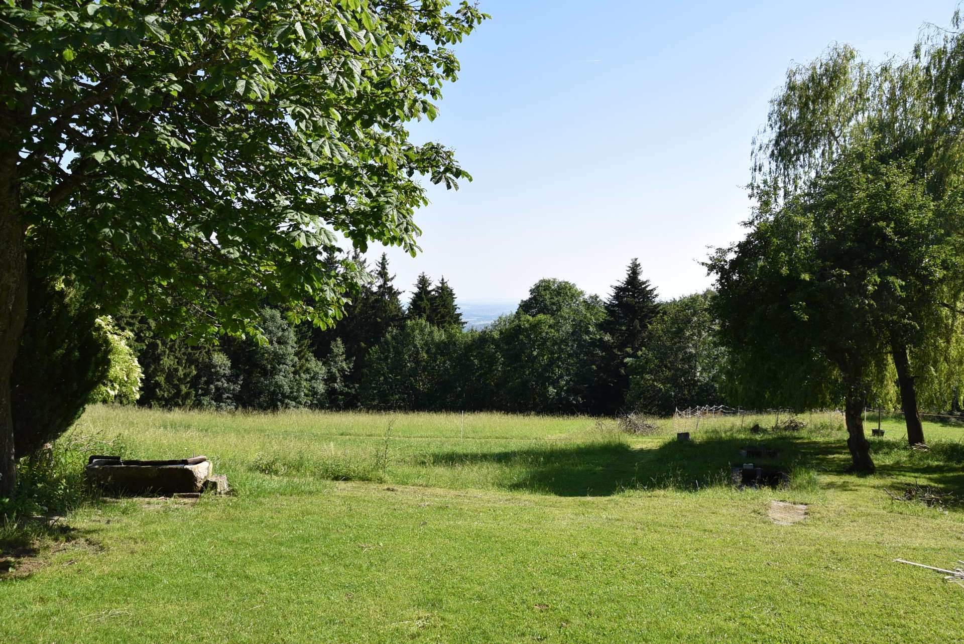 Ausblick