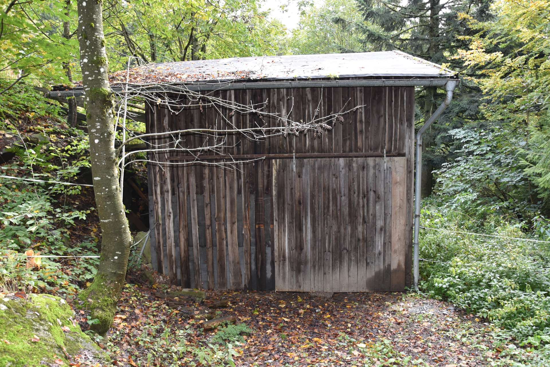 Stall
