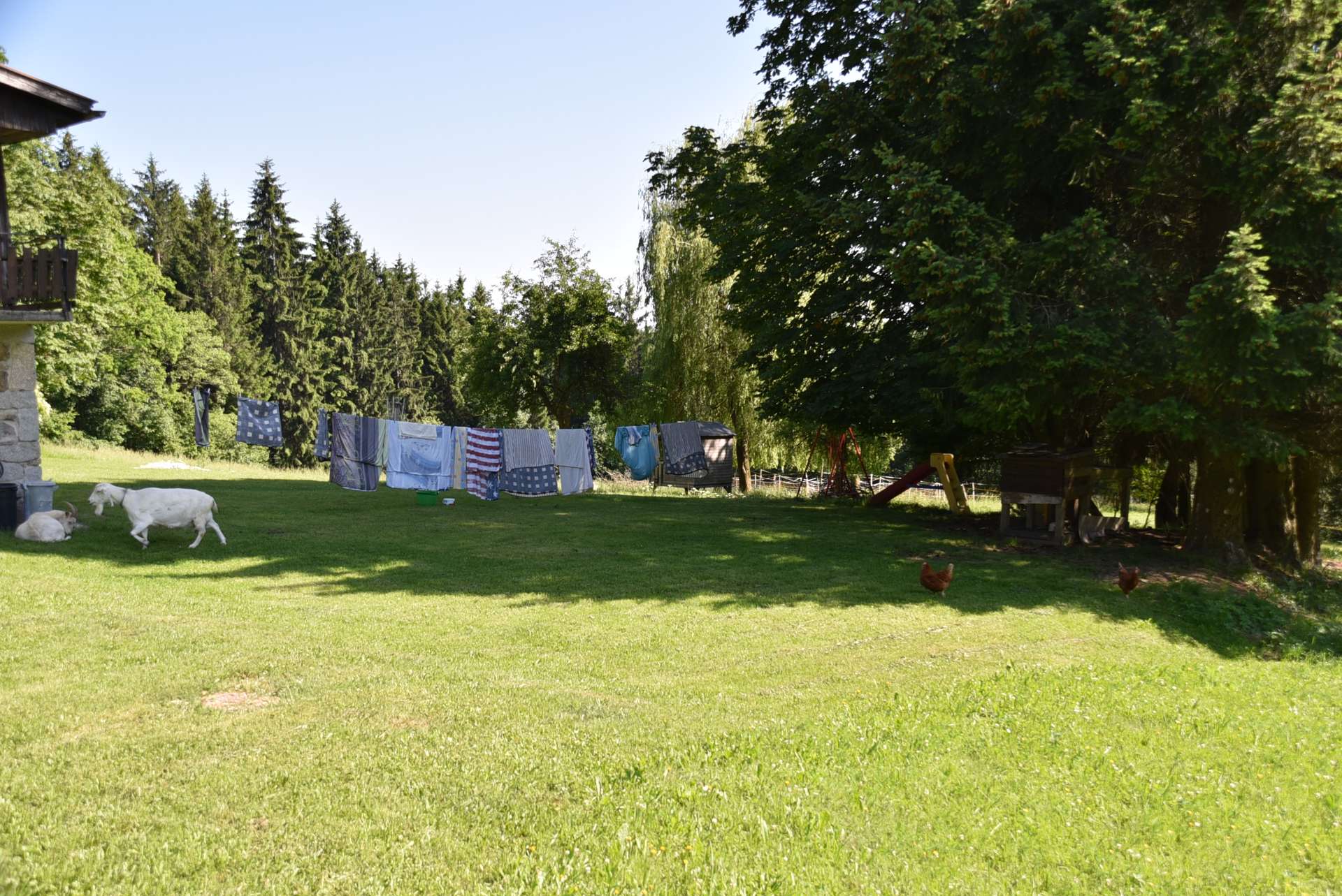 Garten