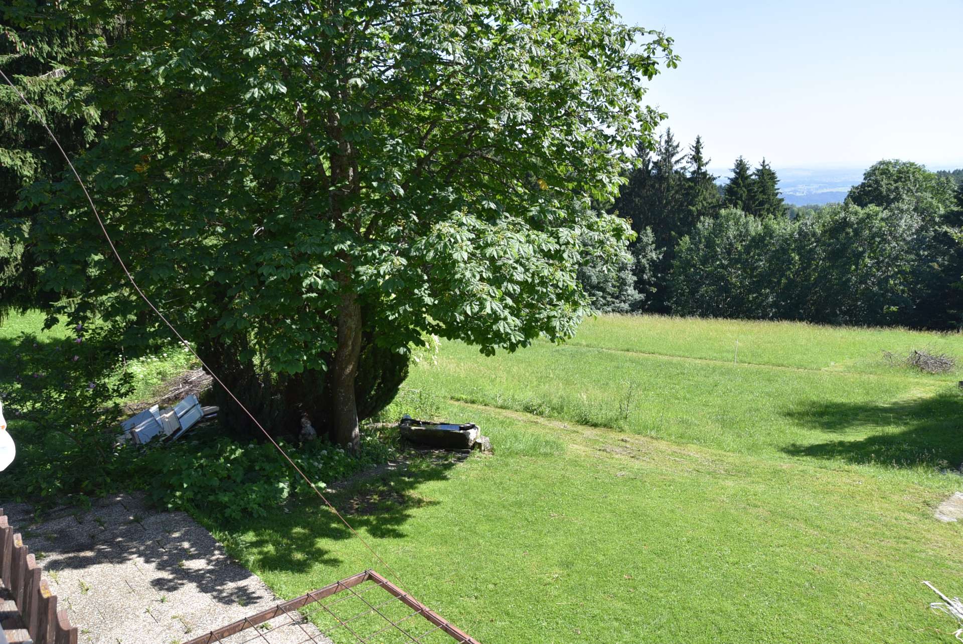 Ausblick