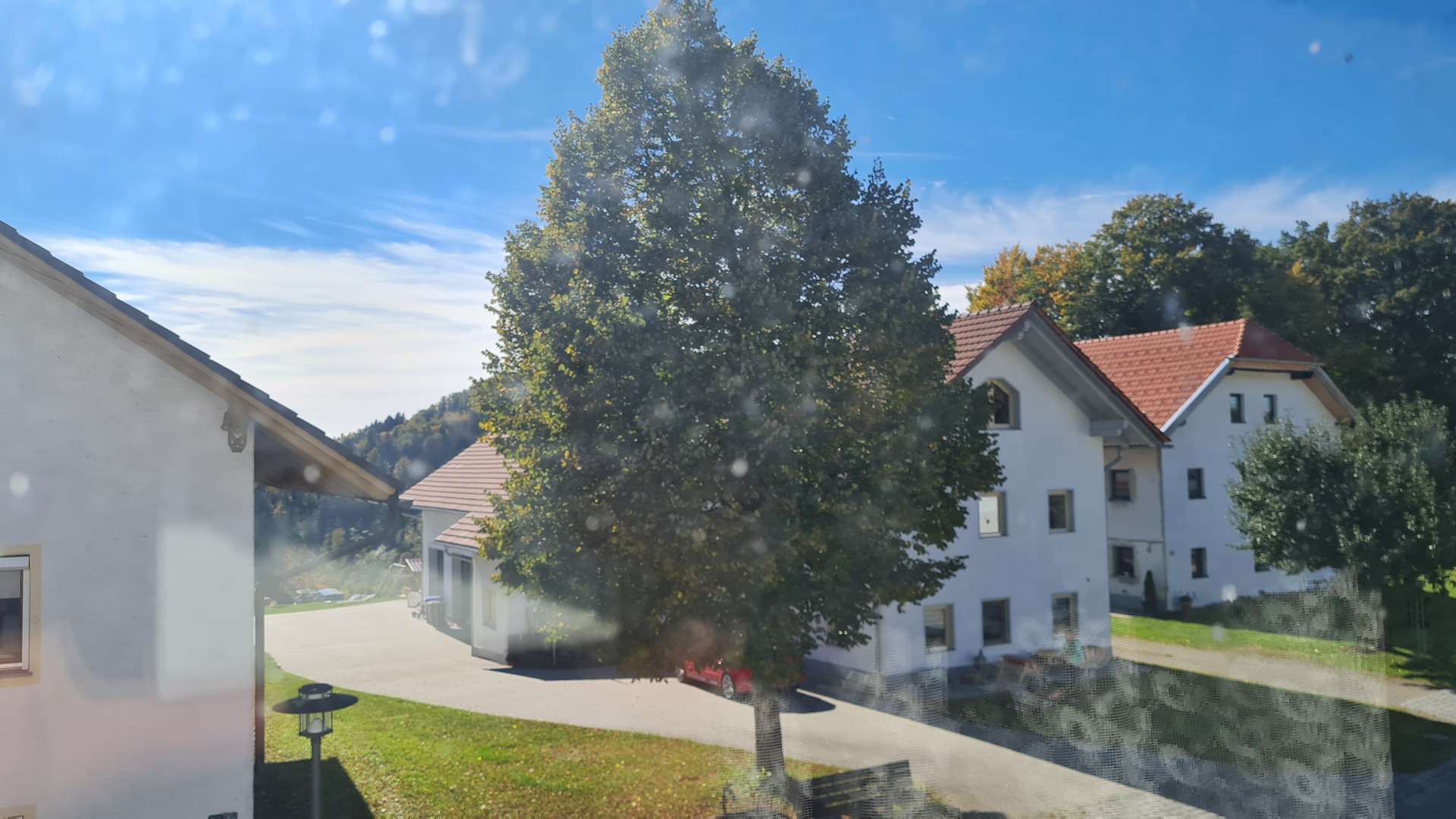 Ausblick