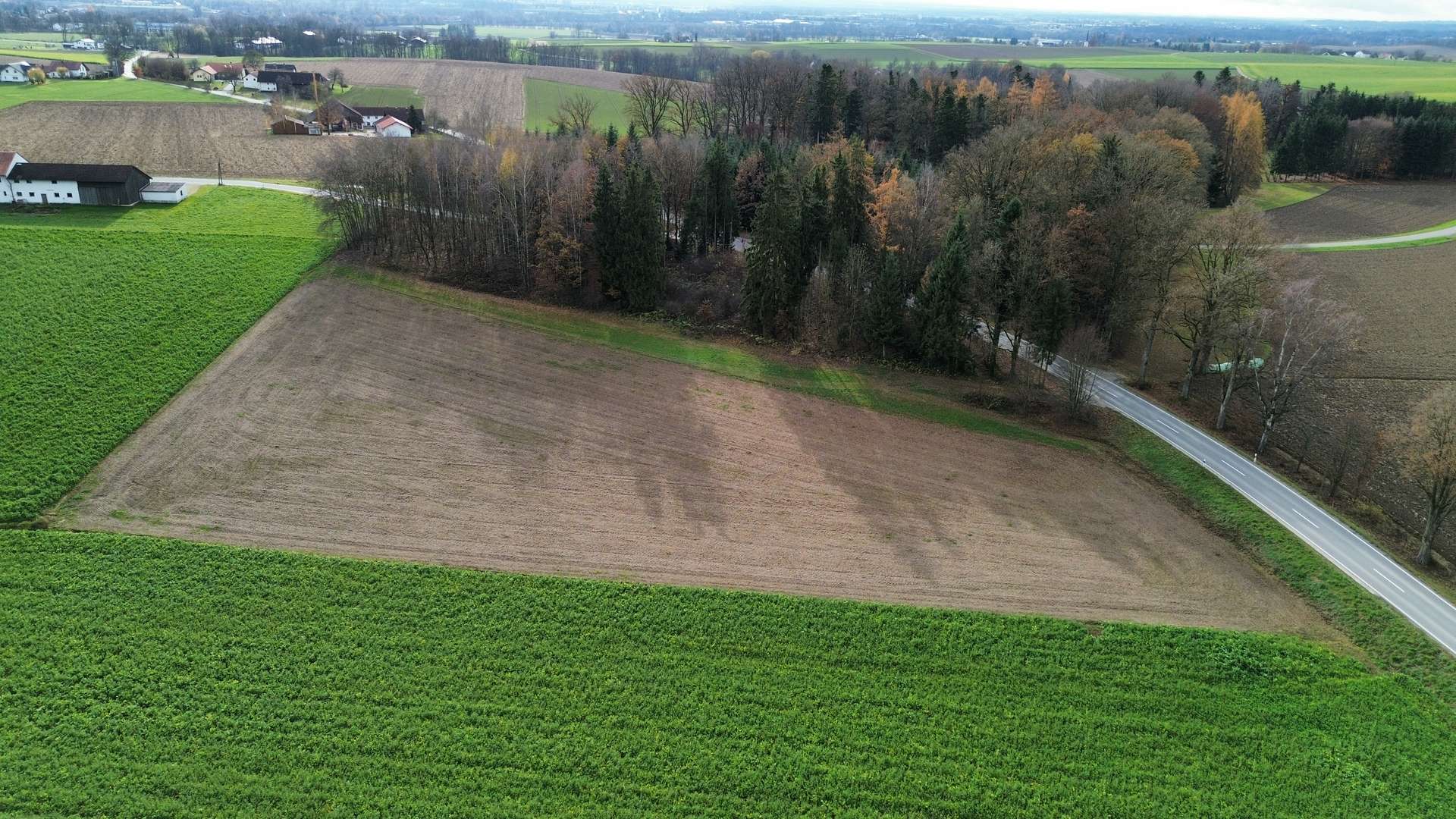 dji_fly_20251118_115502_826_1763463308887_photo_optimized (1)