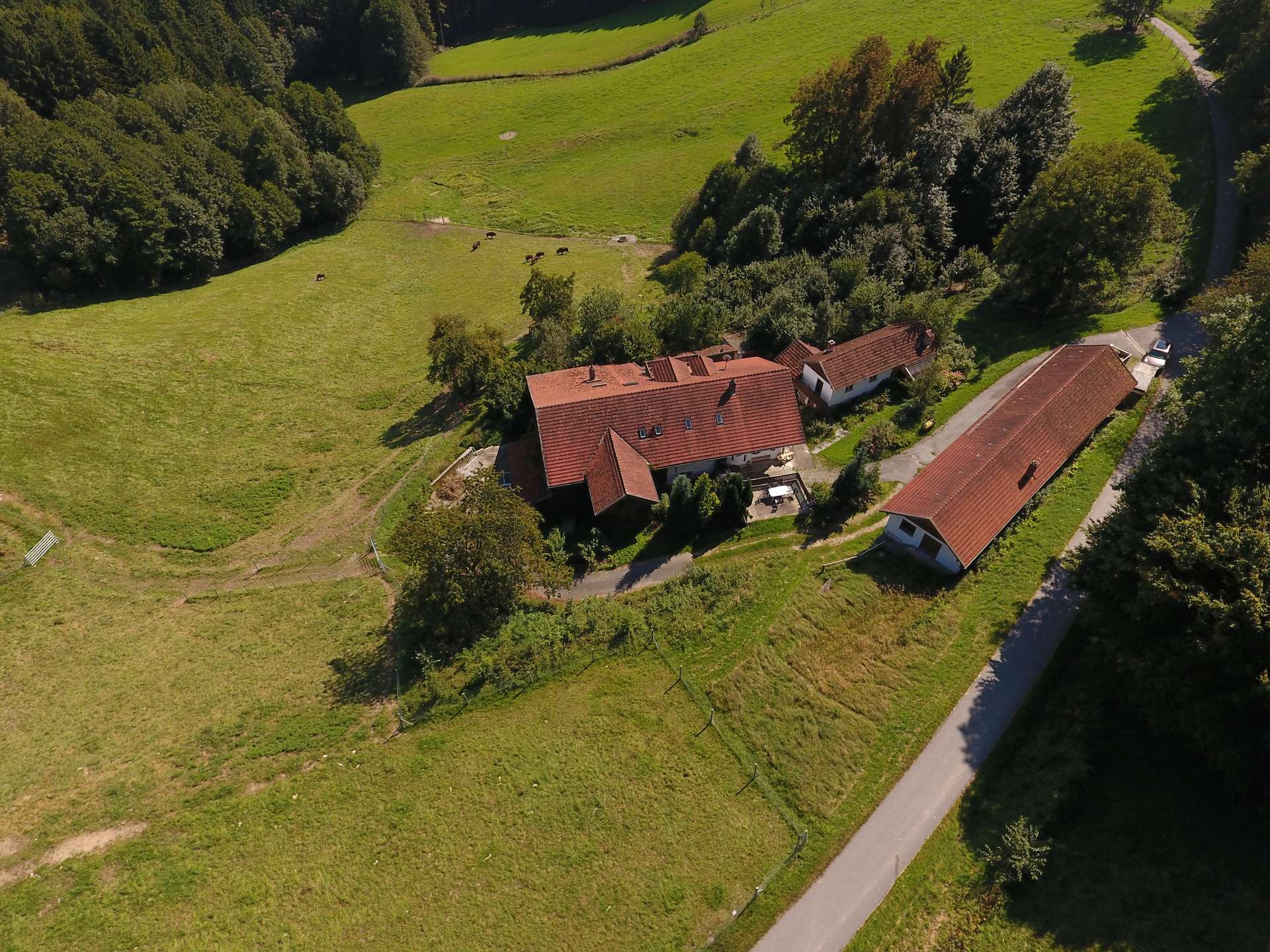DJI_0015