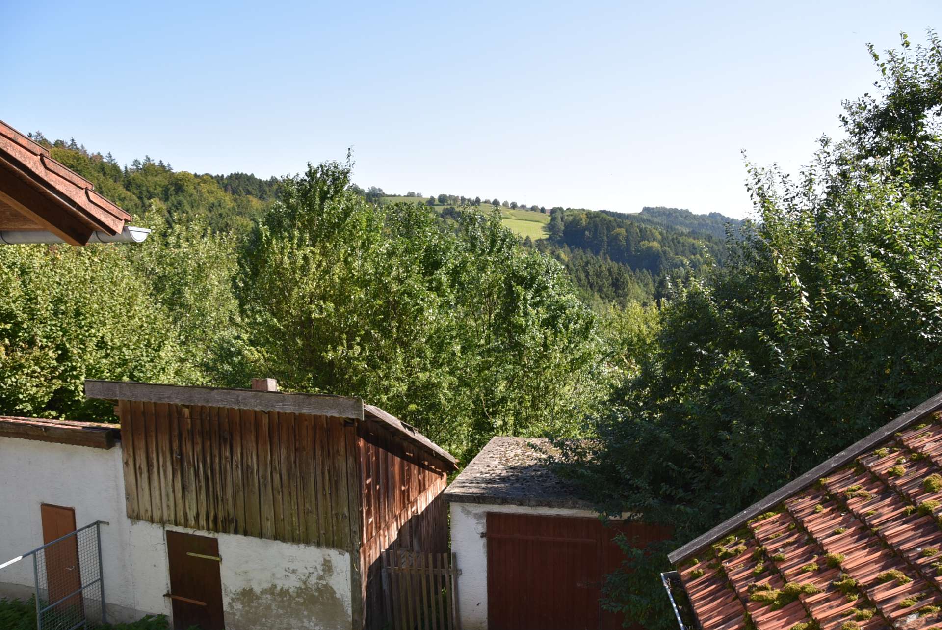 DSC_4667
