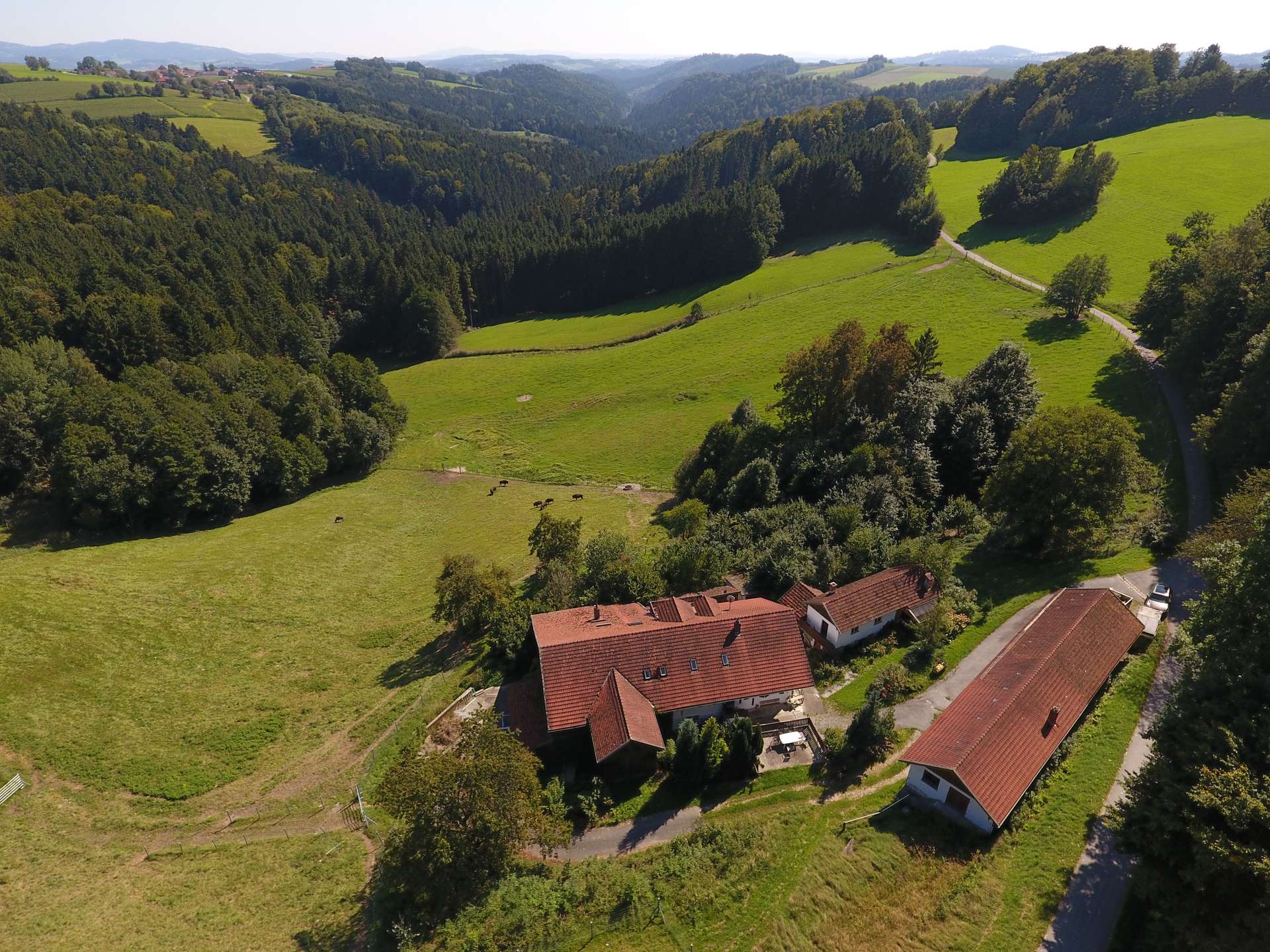 DJI_0014