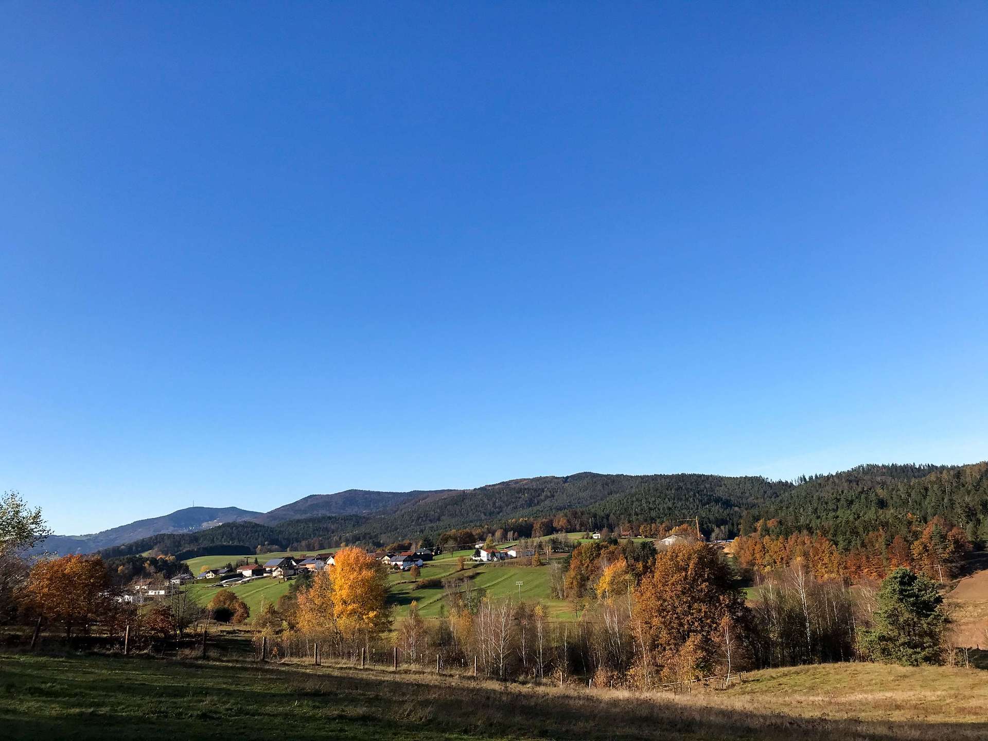 Aussicht/Weide
