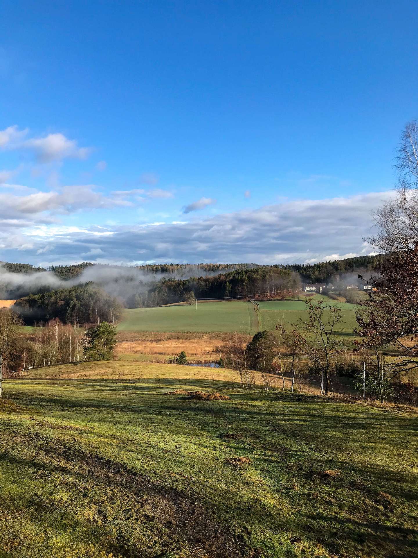 Fernblick/Koppel