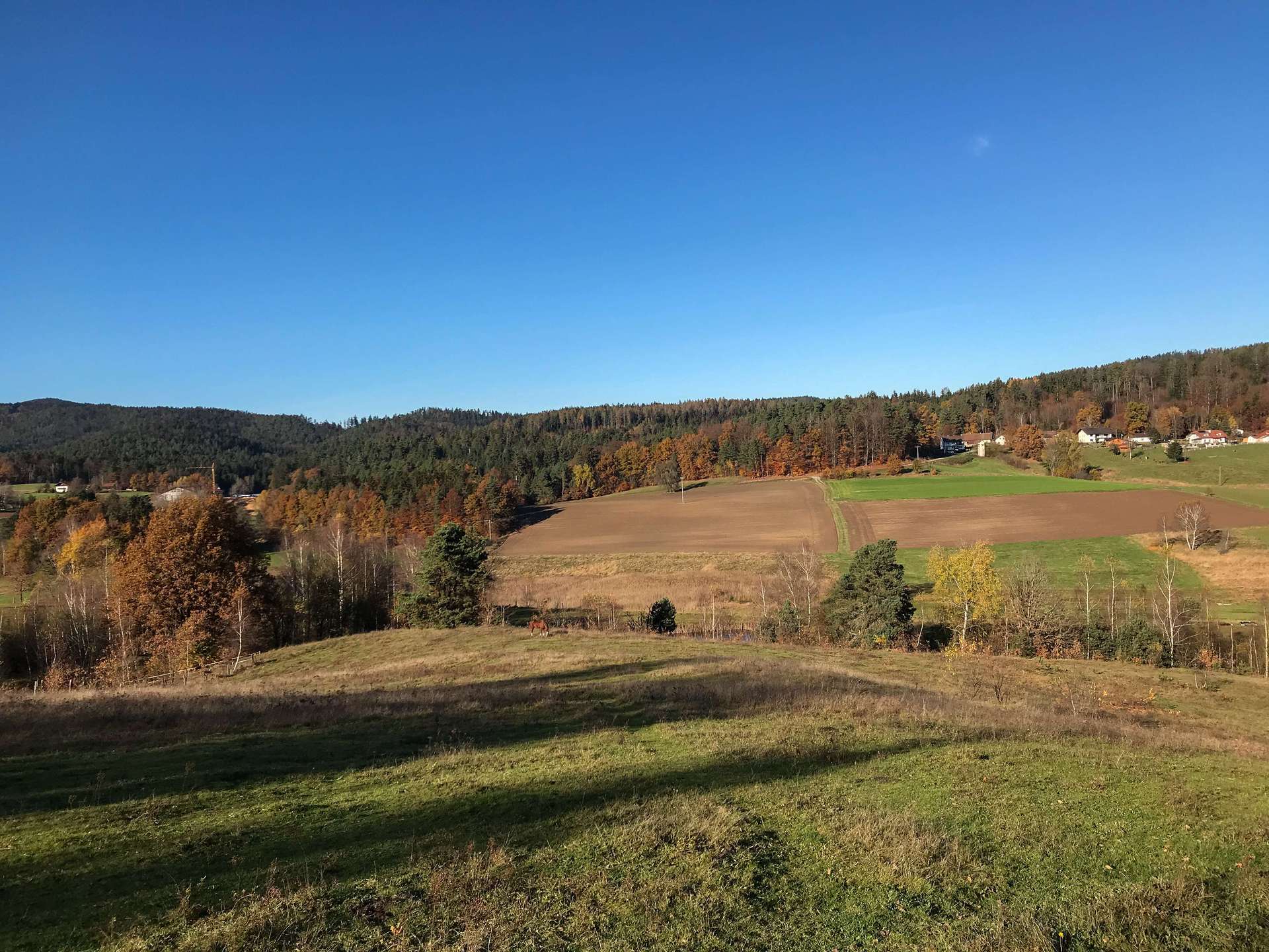 Aussicht/Koppel