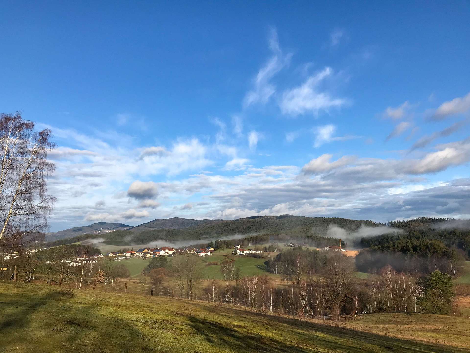 Fernblick/Weide