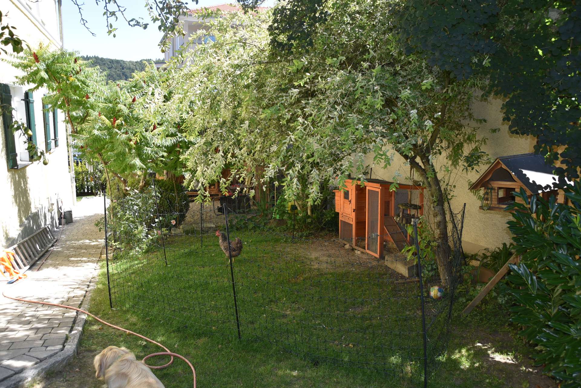Garten