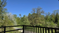 Blick vom Balkon/Terrasse OG - Wald, Wiese, Wasser – Ihr privates Naturparadies in Alleinlage