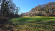 Garten - Wald, Wiese, Wasser – Ihr privates Naturparadies in Alleinlage