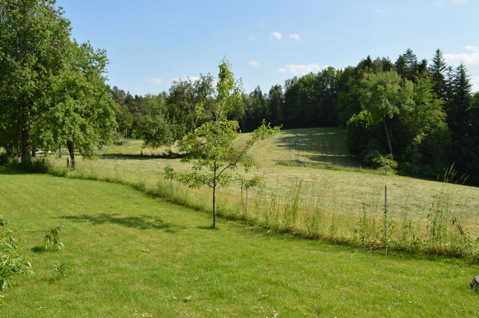 Weideflächen