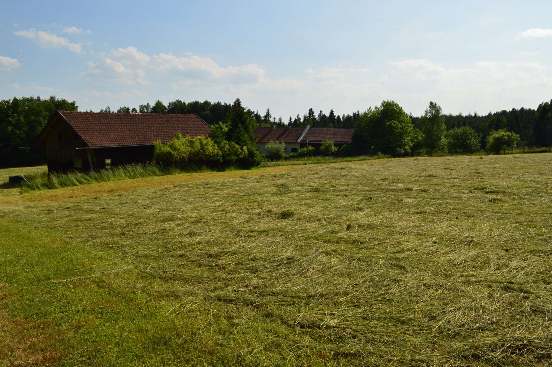 Ansicht