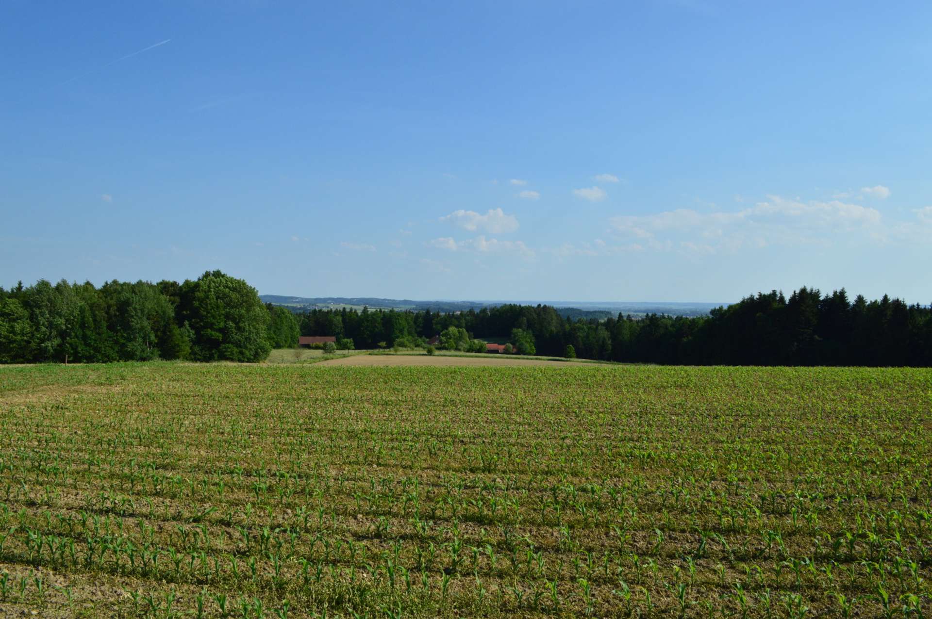 Anwesen aus der Ferne