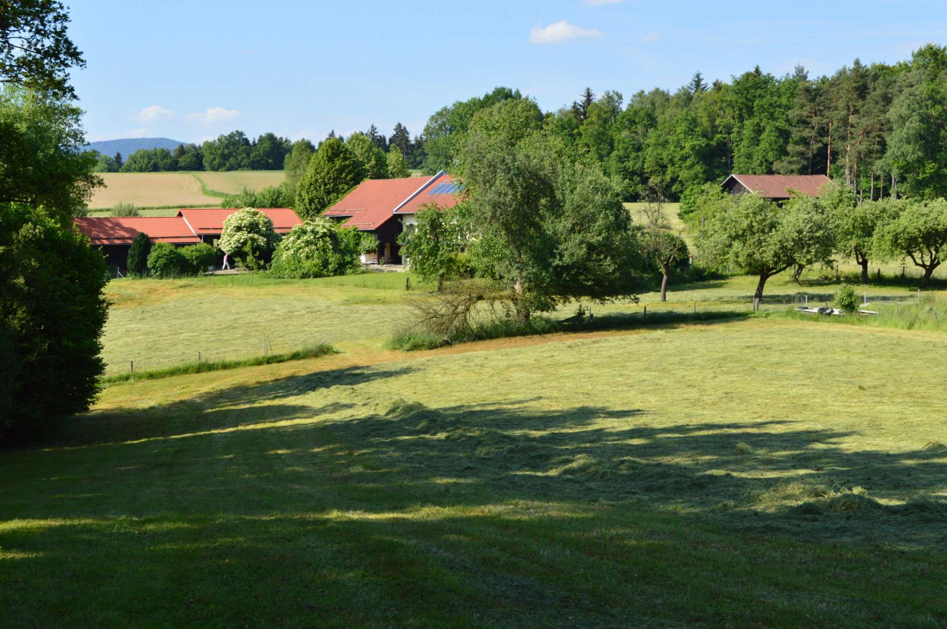 Ansicht