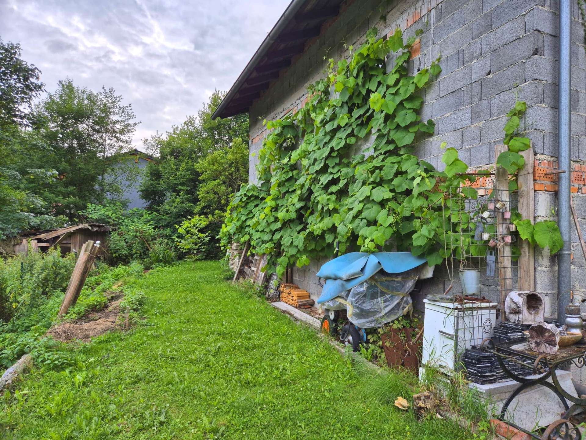 37 Hinter Garage