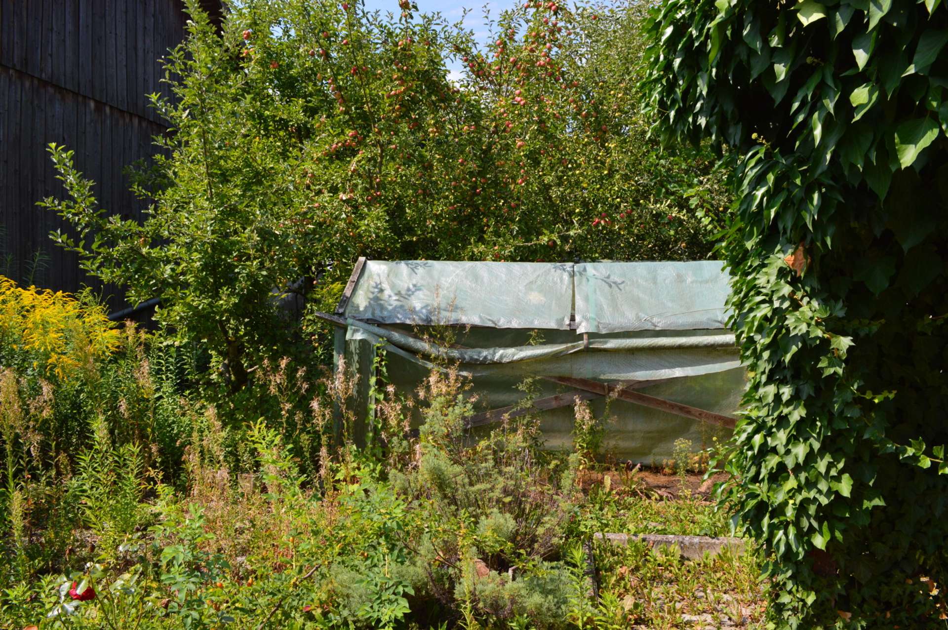 Bauerngarten