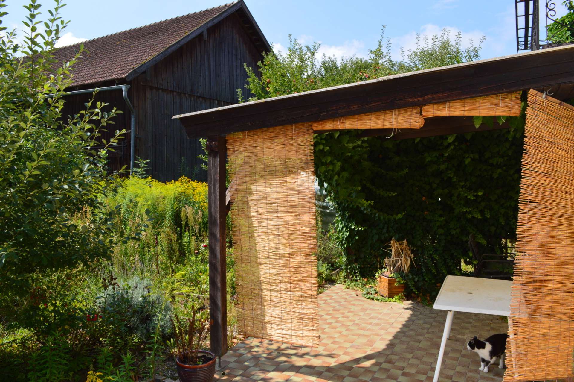 Ansicht Terrasse