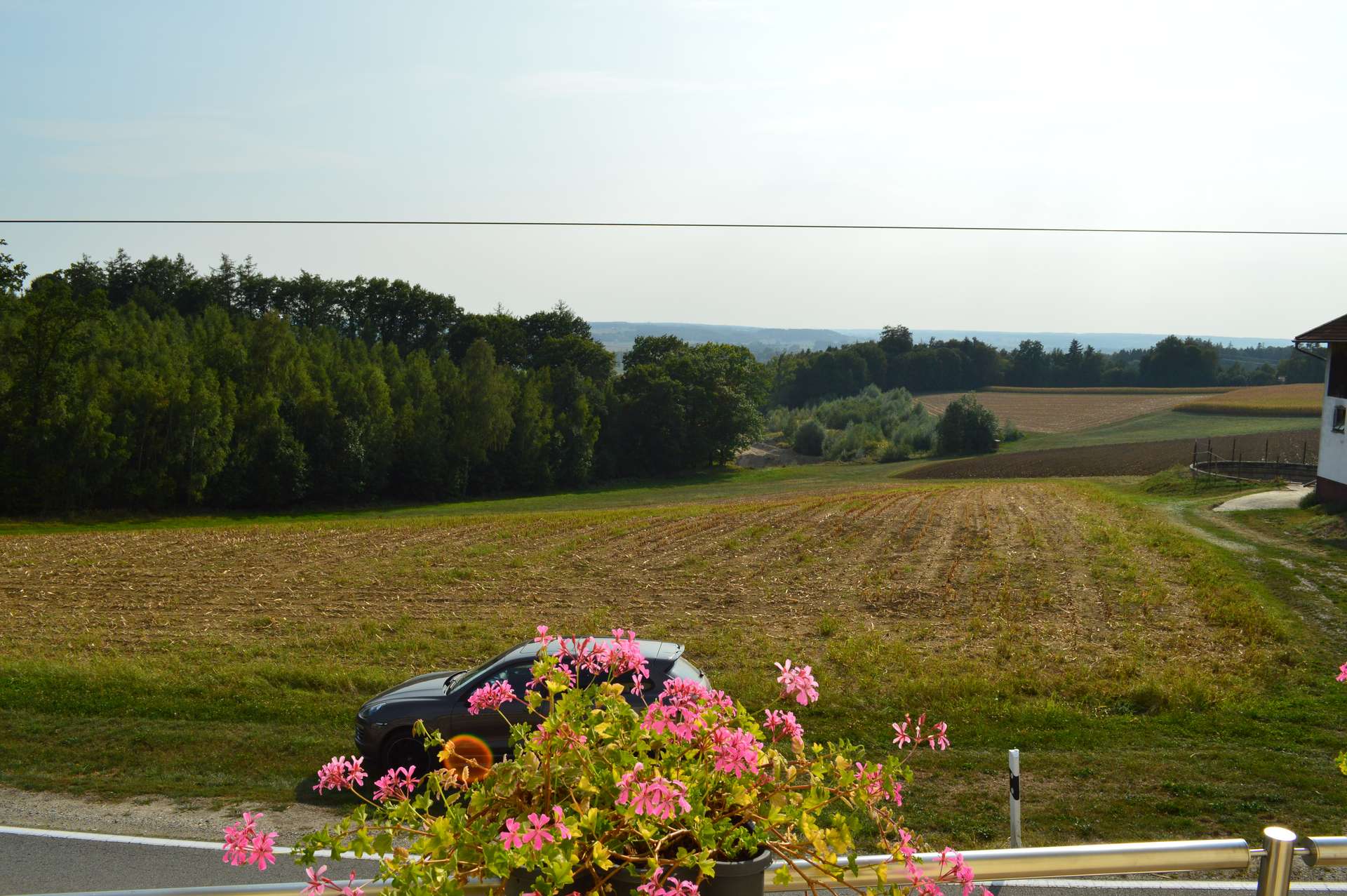 Ausblick