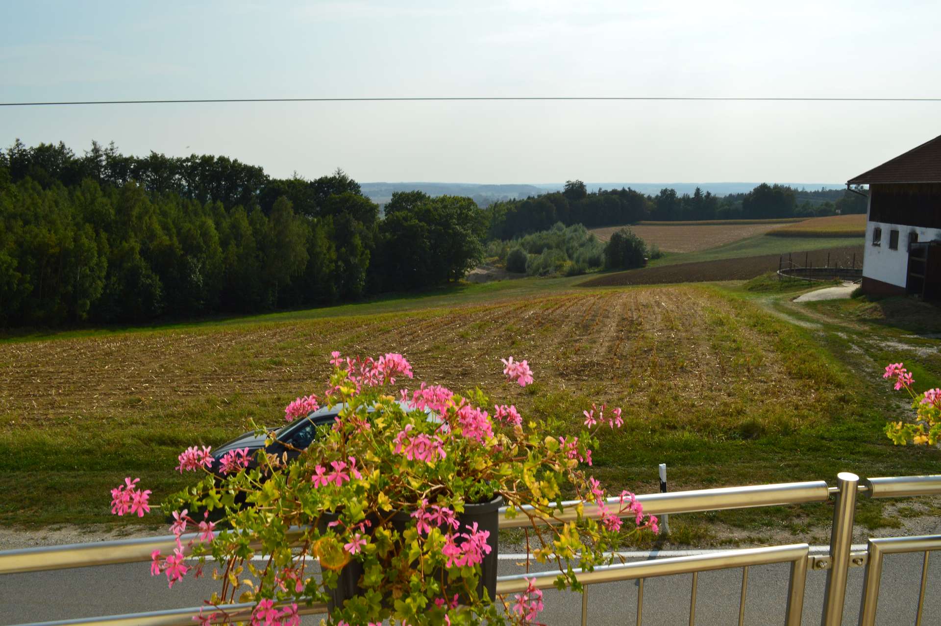 Ausblick