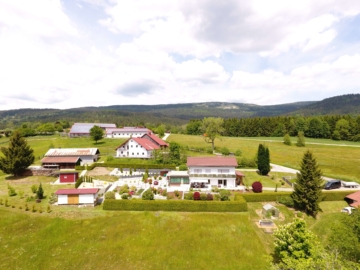 Wunderschönes Haus mit Fernsicht – Tierhaltung geeignet – großes Grundstück, 94089 Neureichenau, Einfamilienhaus