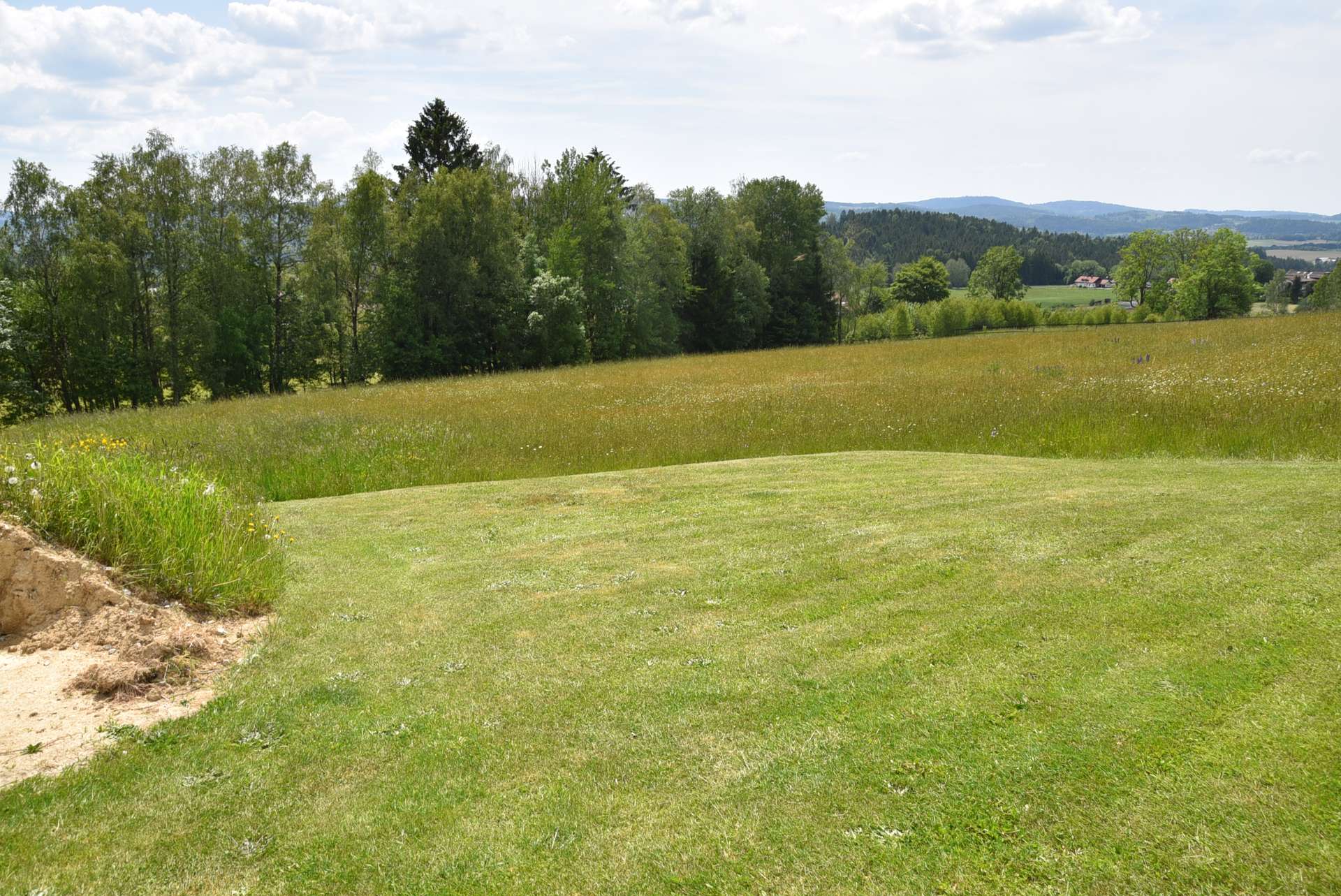 Wiesen