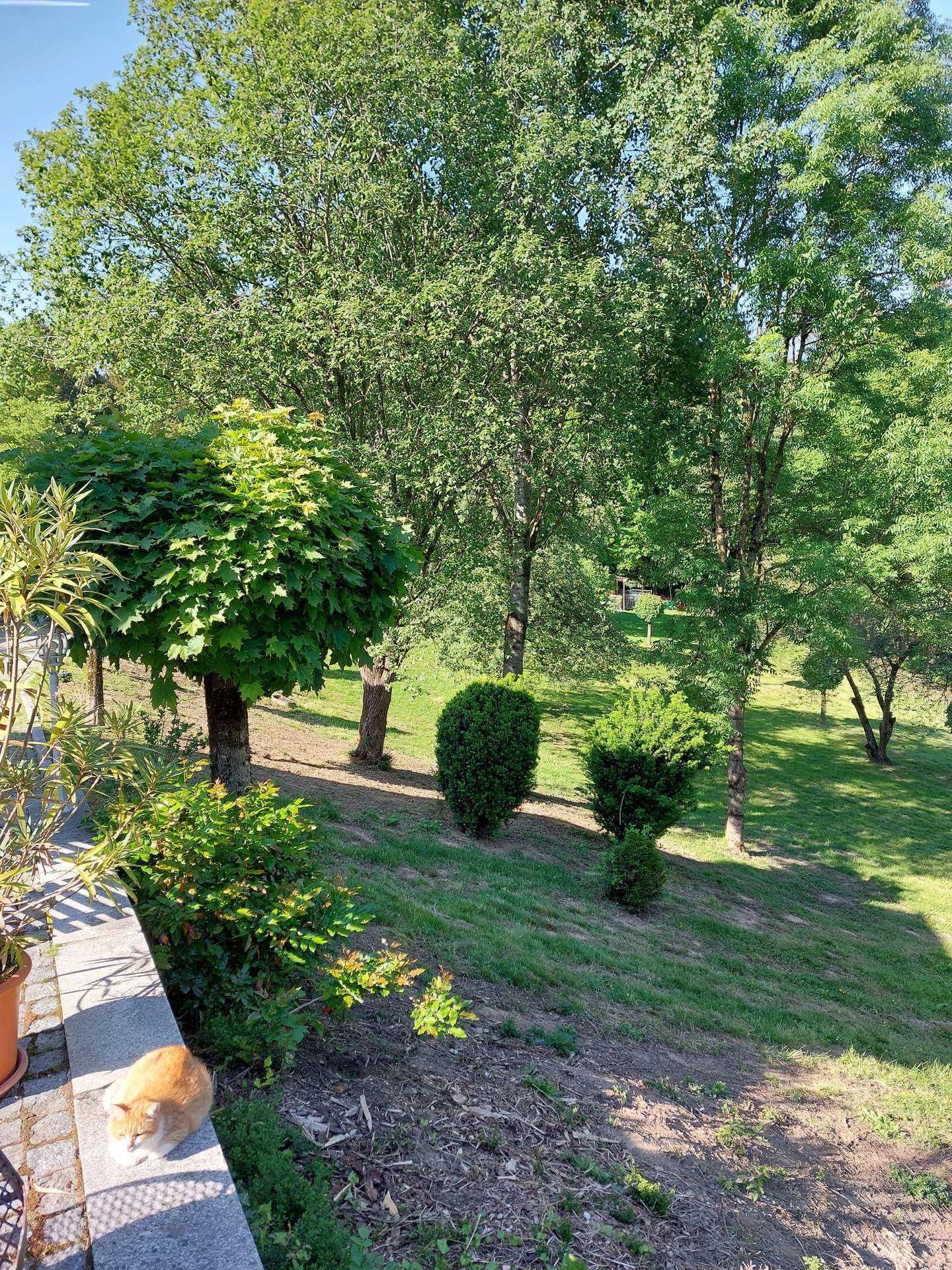 Garten