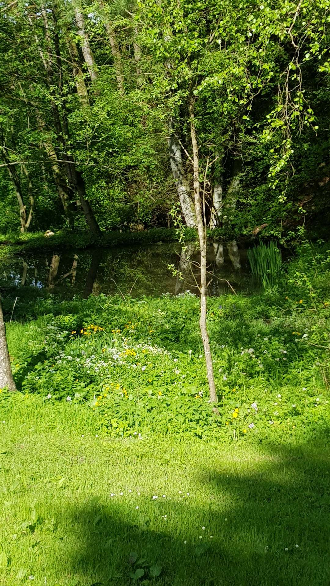 Gartenteich