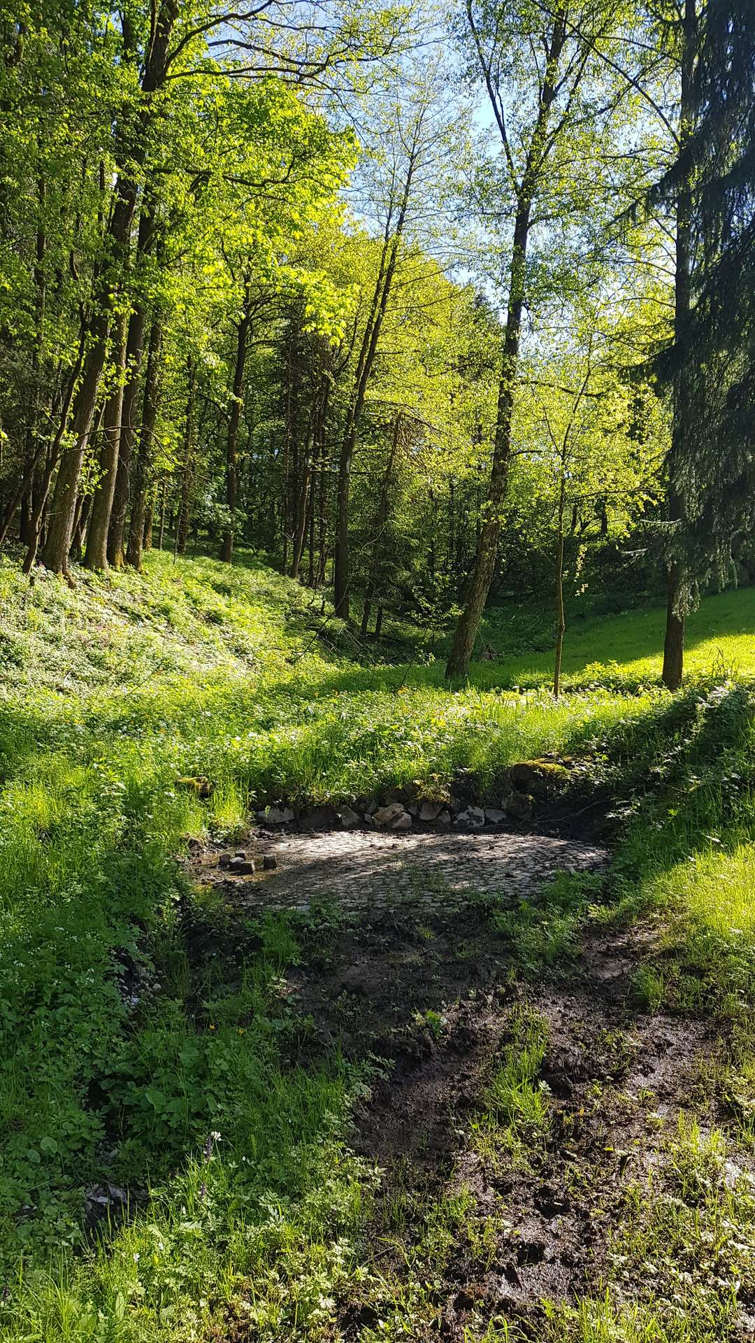 Naturgarten