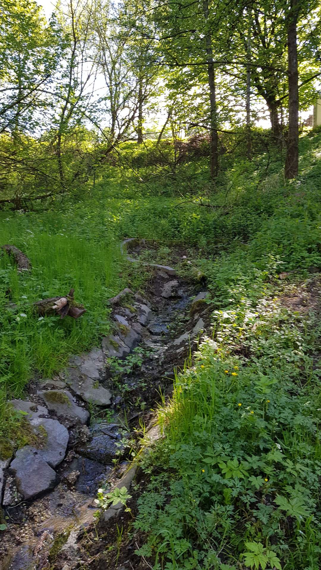 Naturgarten