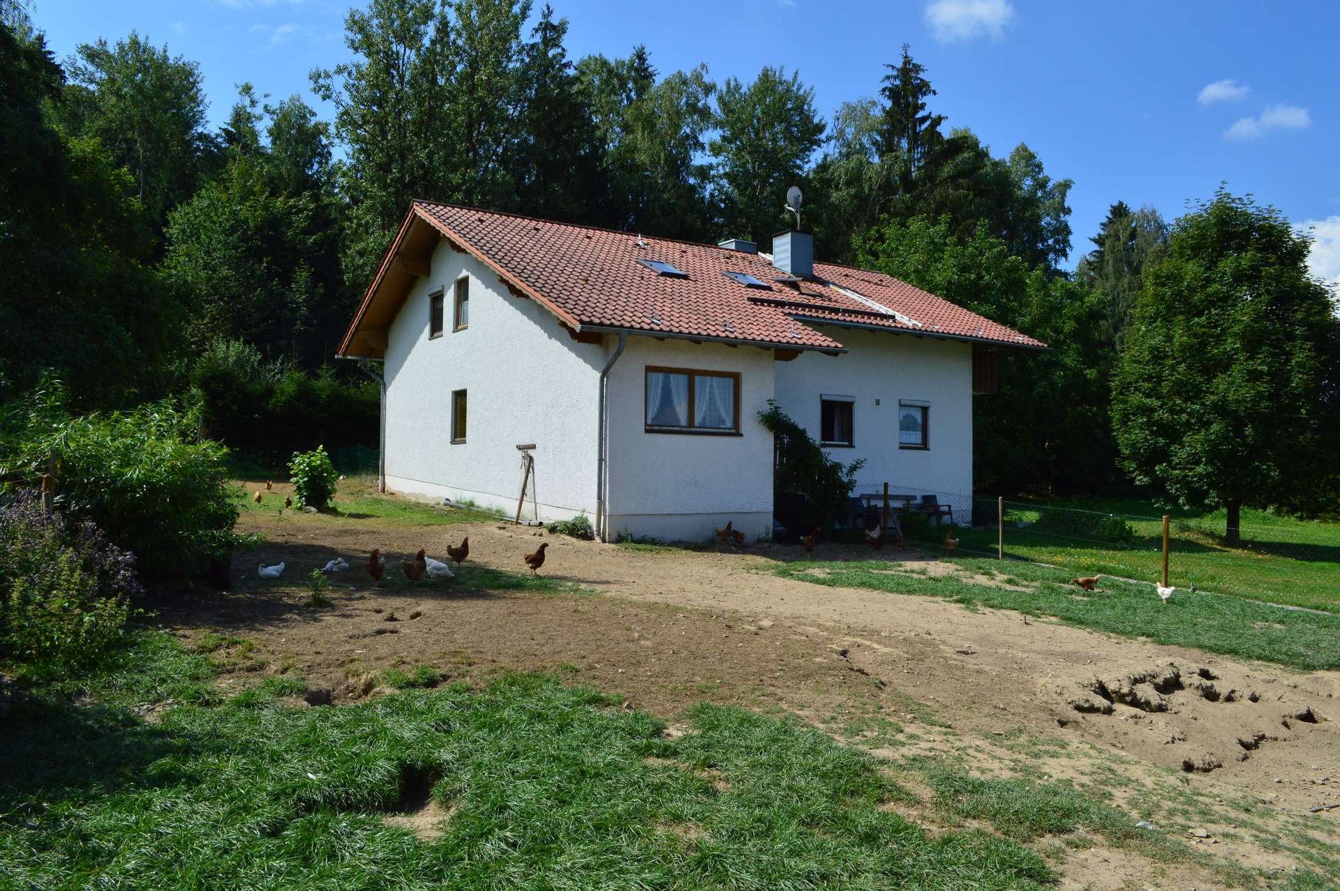 Hausansicht und Hühnerfreilauf