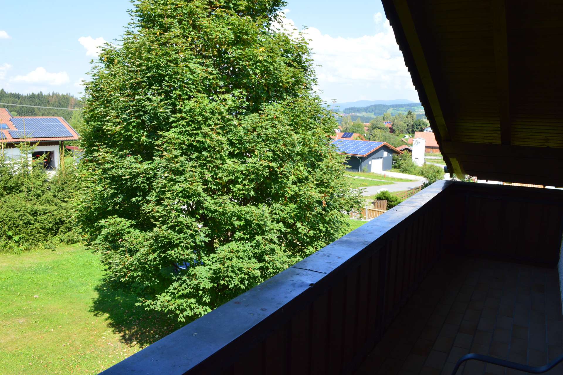 Ausblick