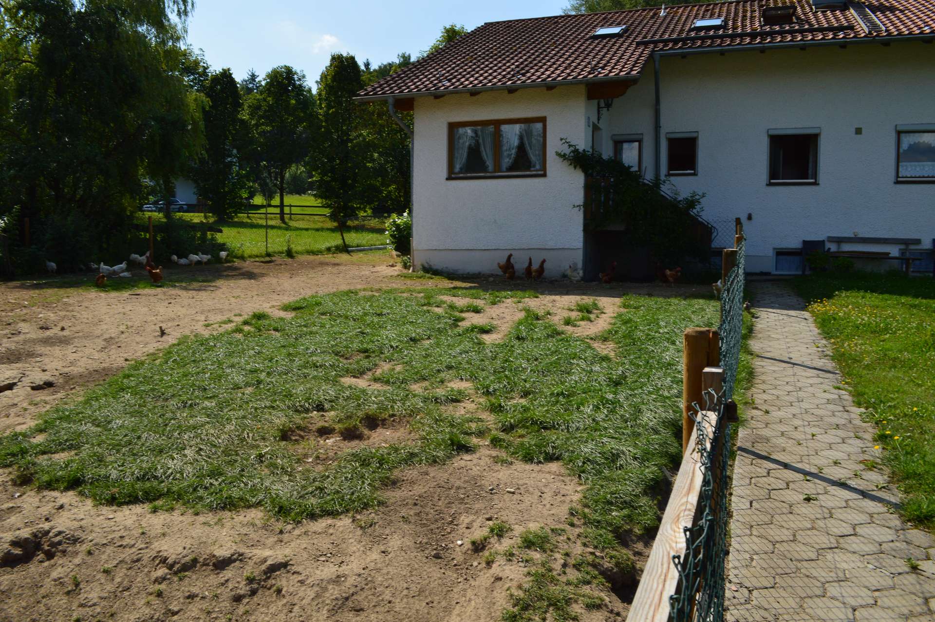 Hausansicht und Hühnerfreilauf