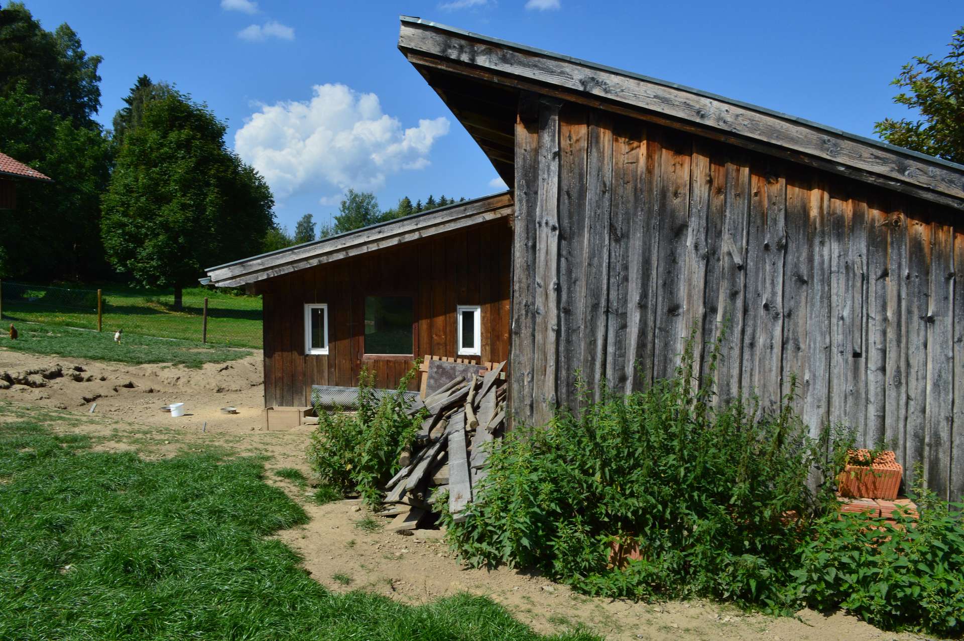 Hühnerstall