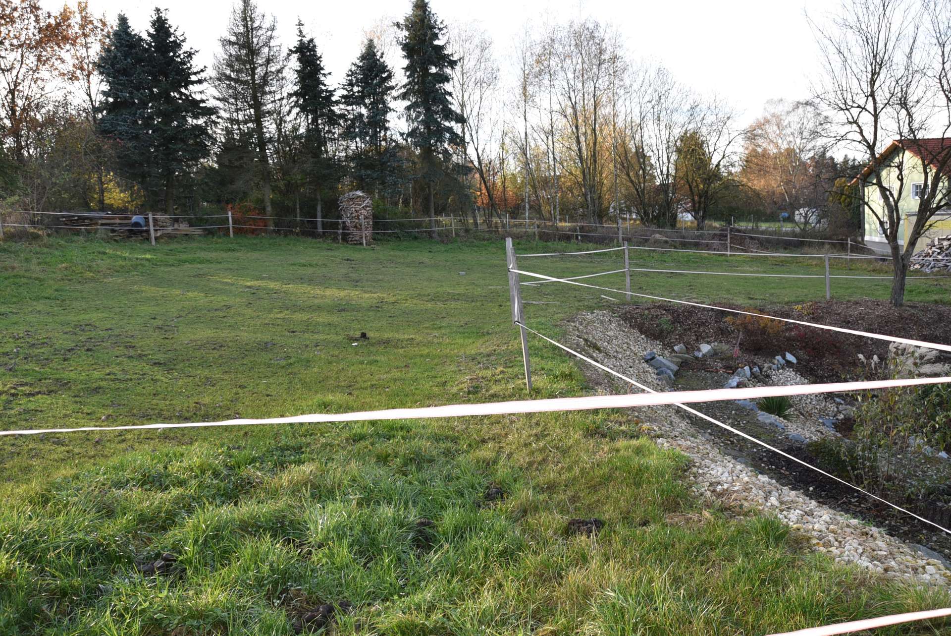 DSC_3397