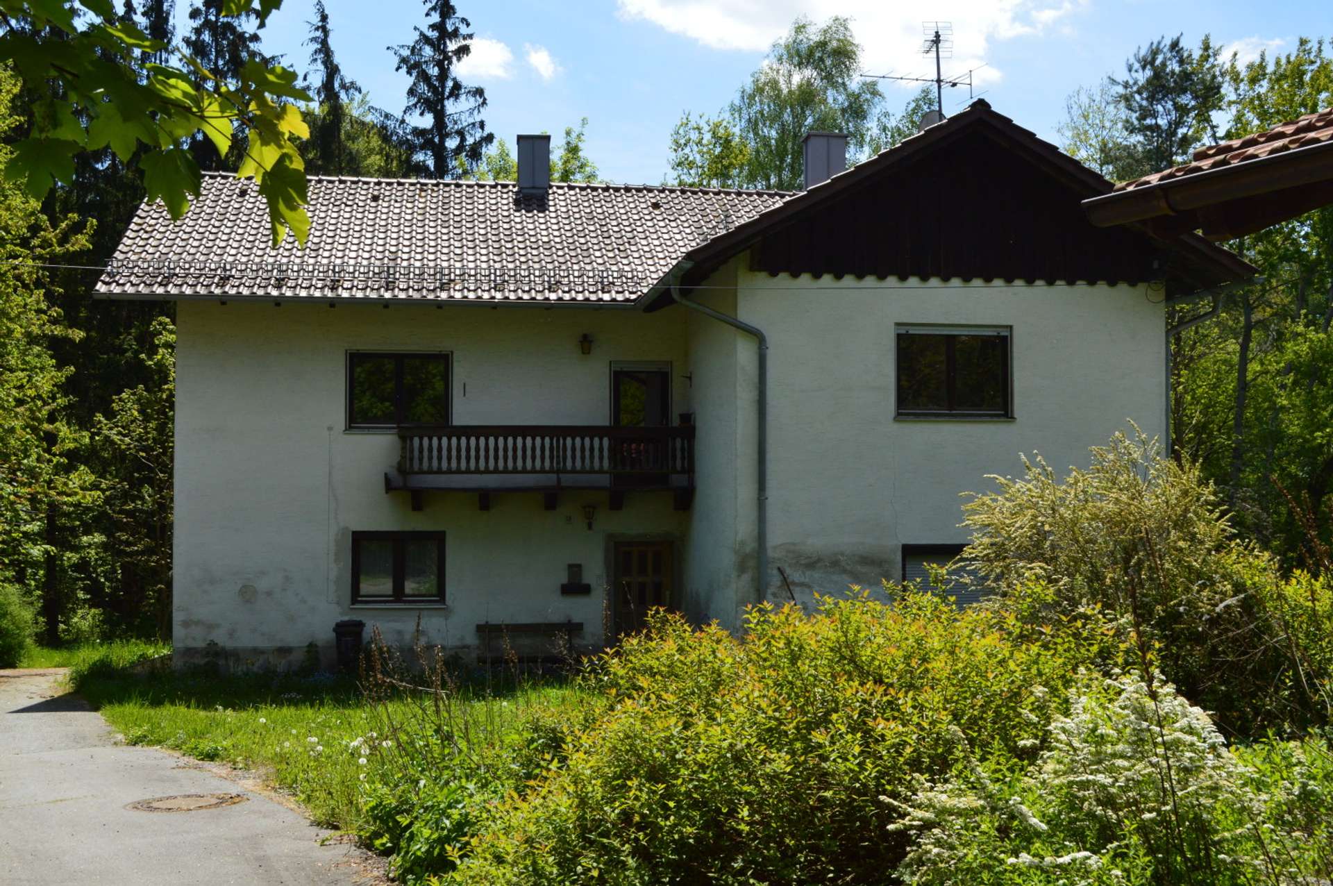 Bild 006